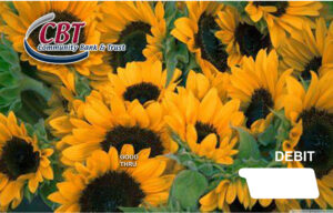 Debit Card 9